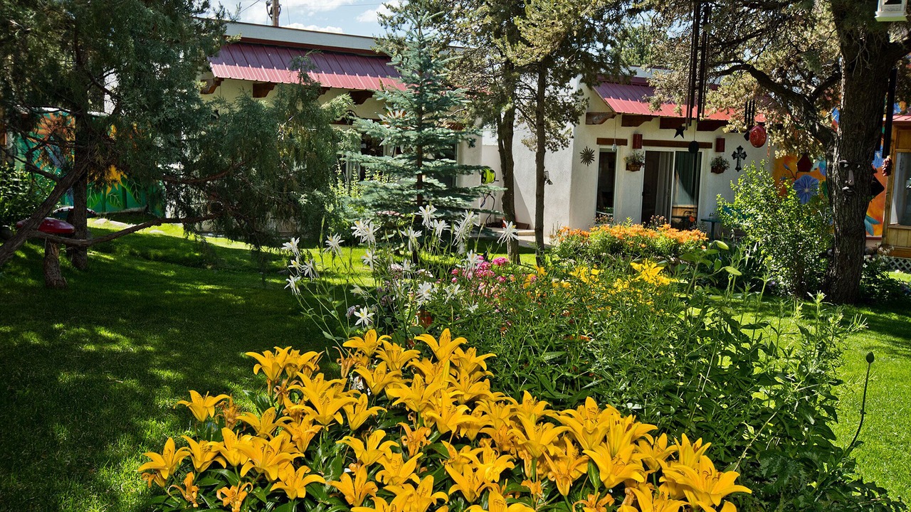Photo of Outdoor in Crestone