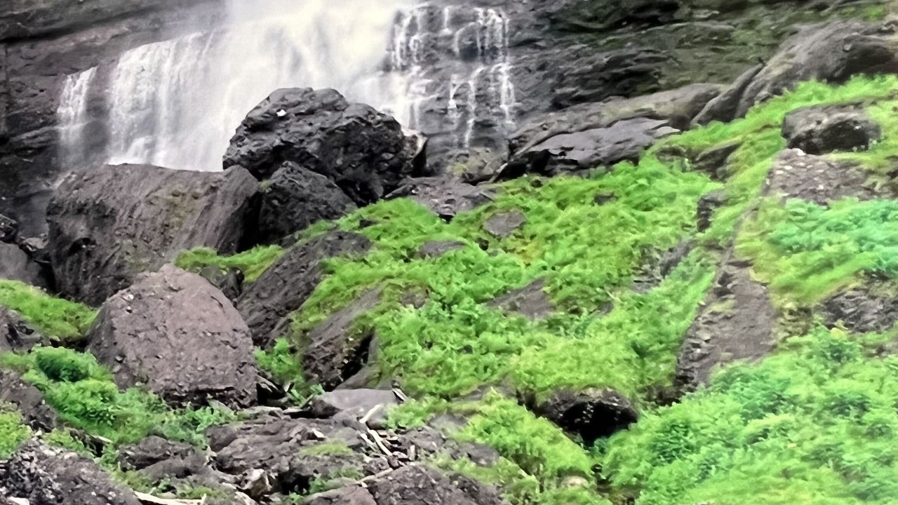 Photo of Outdoor in Mountain Village