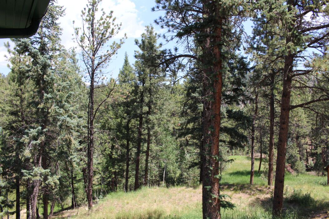 Photo of Outdoor in Bailey