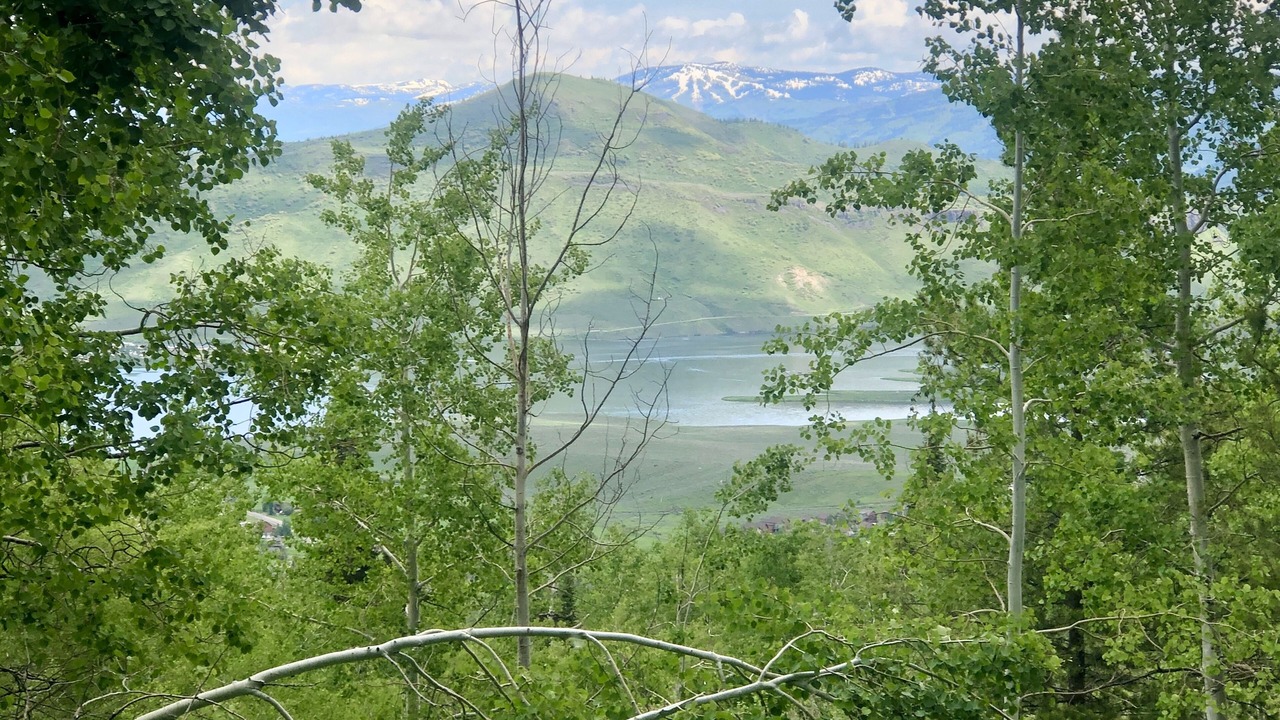 Photo of Others in Oak Creek