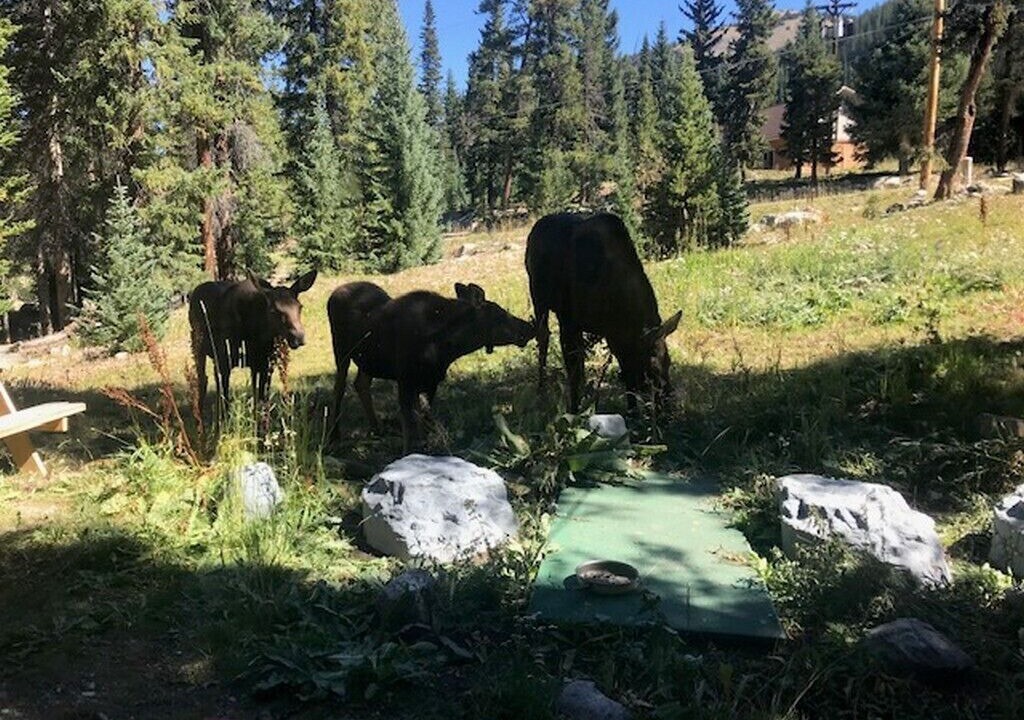 Photo of Others in Breckenridge