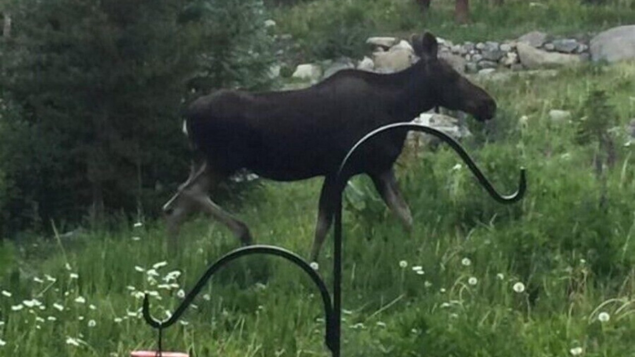 Photo of Outdoor in Breckenridge
