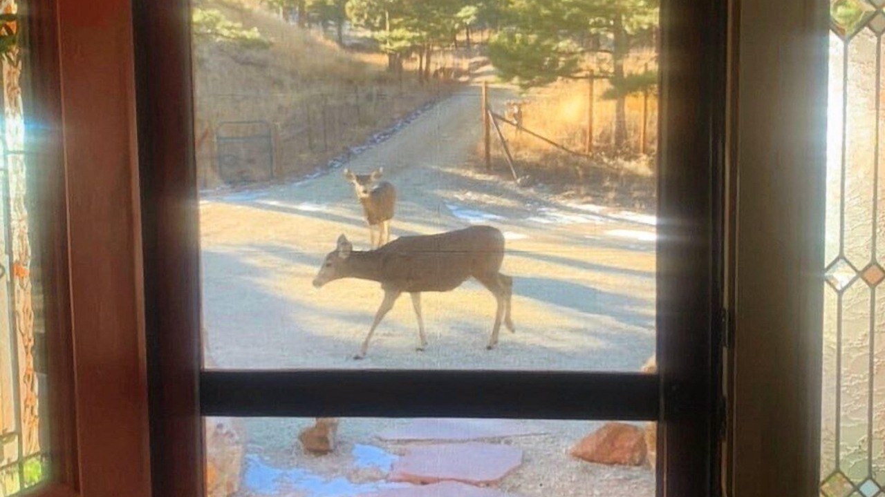 Photo of Others in Westcliffe