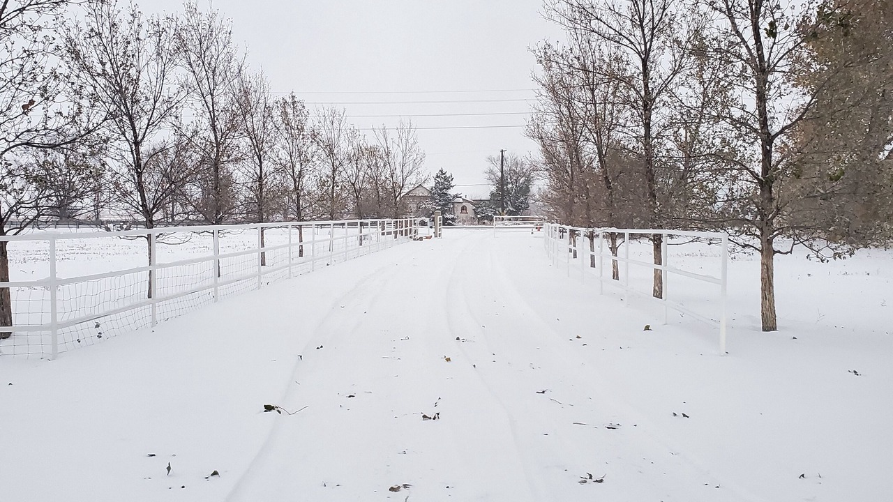 Photo of Others in Todd Creek