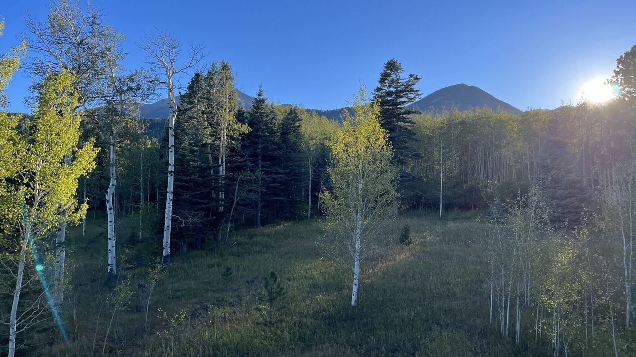 Photo of Others in Westcliffe