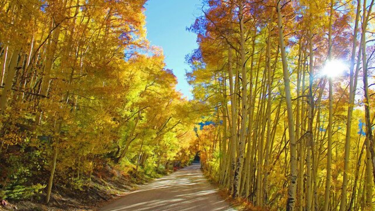 Photo of Outdoor in Blue River