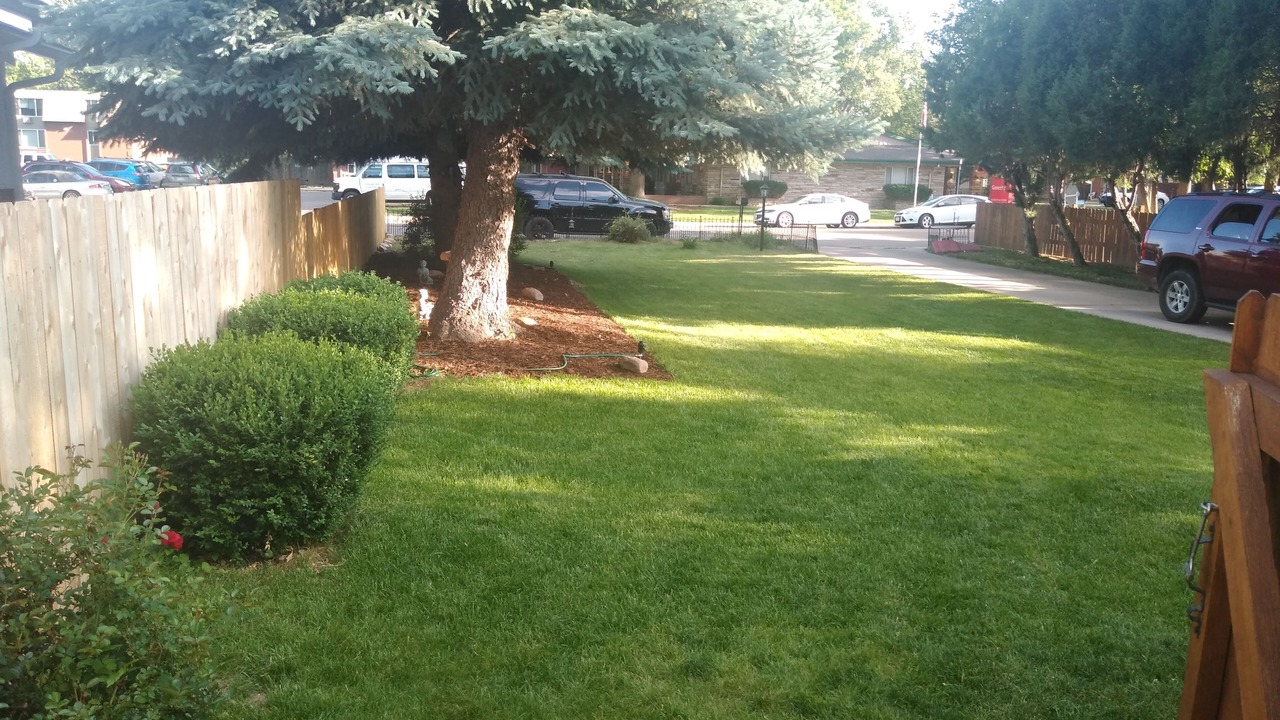 Photo of Outdoor in University Acres