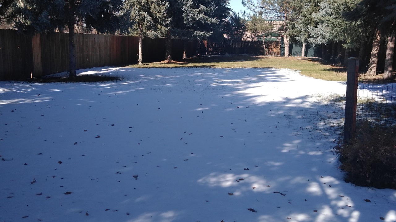 Photo of Outdoor in University Acres