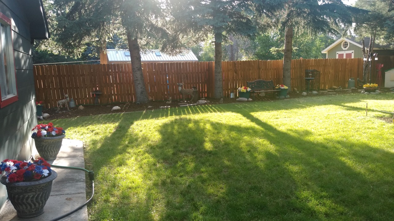 Photo of Outdoor in University Acres