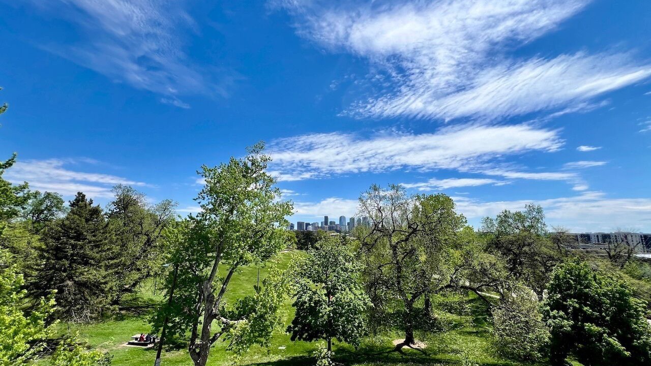 Photo of Outdoor in Jefferson Park