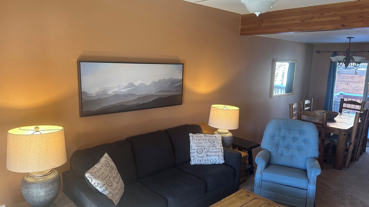 Photo of Livingroom in Dillon