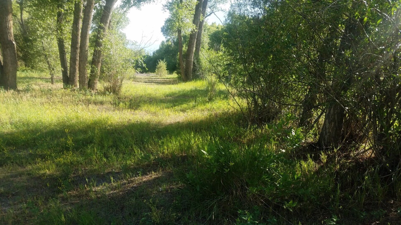 Photo of Outdoor in Antonito
