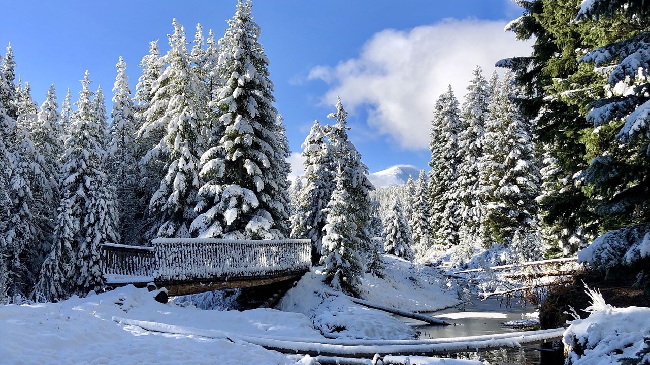 Photo of Outdoor in Peak 9