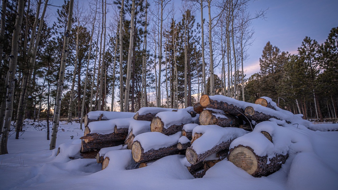 Photo of Outdoor in Divide