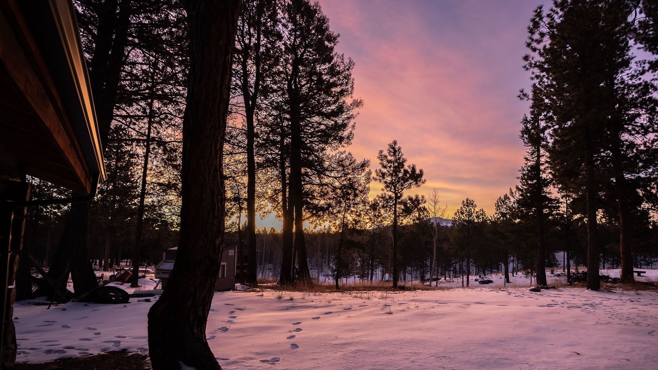 Photo of Outdoor in Divide