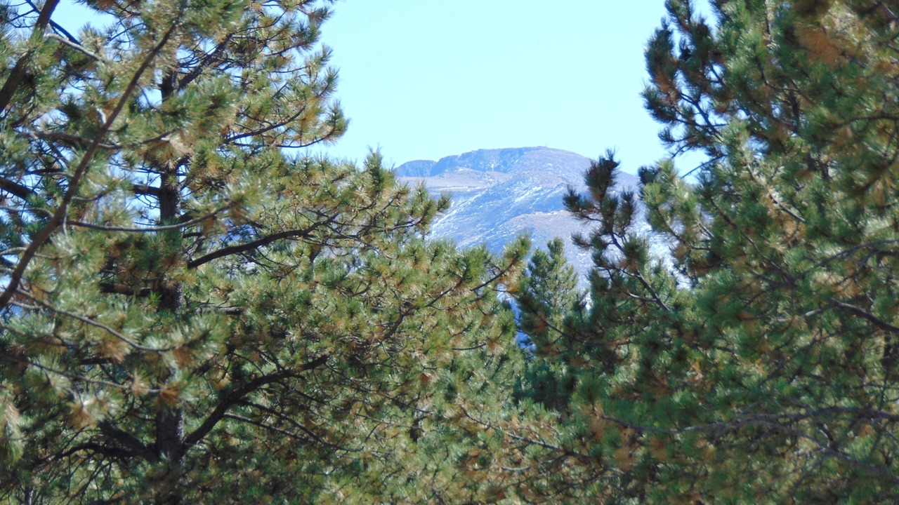Photo of Outdoor in Divide