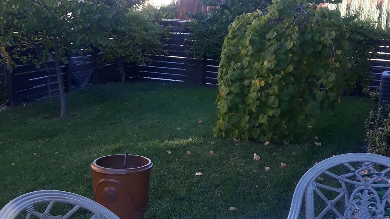 Photo of Outdoor in Skyland