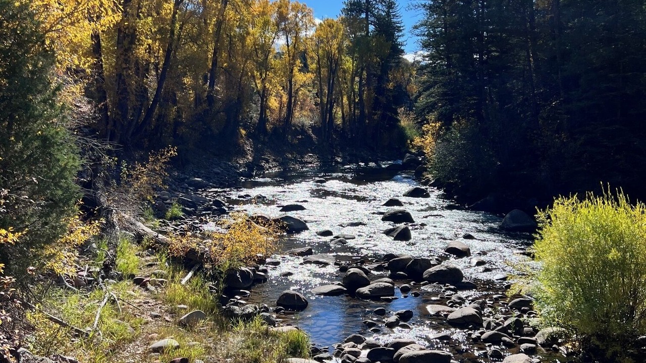 Photo of Others in Snowmass Village