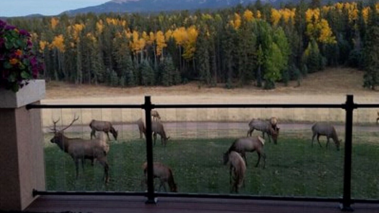 Photo of Outdoor in Divide
