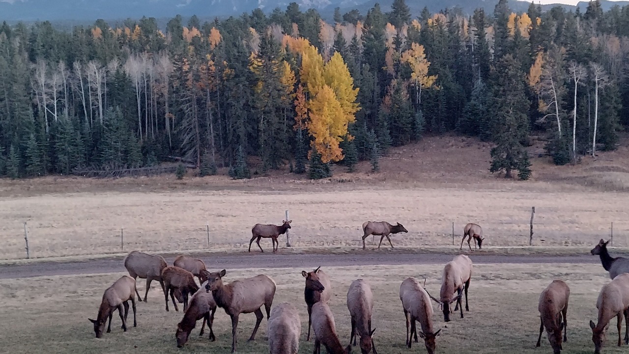 Photo of Others in Divide
