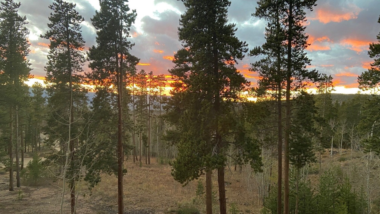 Photo of Others in Winter Park Highlands