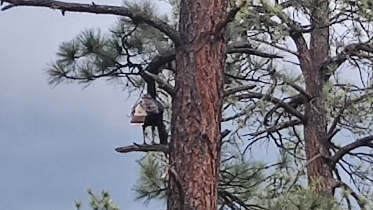 Photo of Others in Beulah