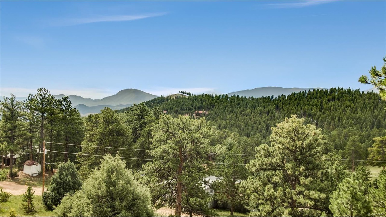 Photo of Others in Pine