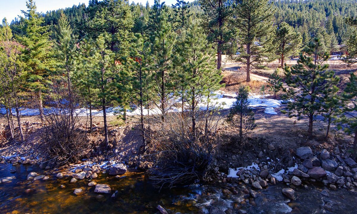 Photo of Others in Estes Park