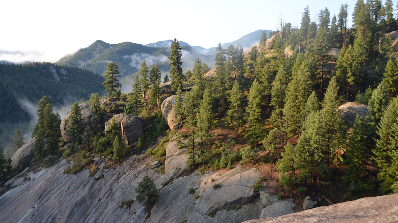 Photo of Outdoor in Pine