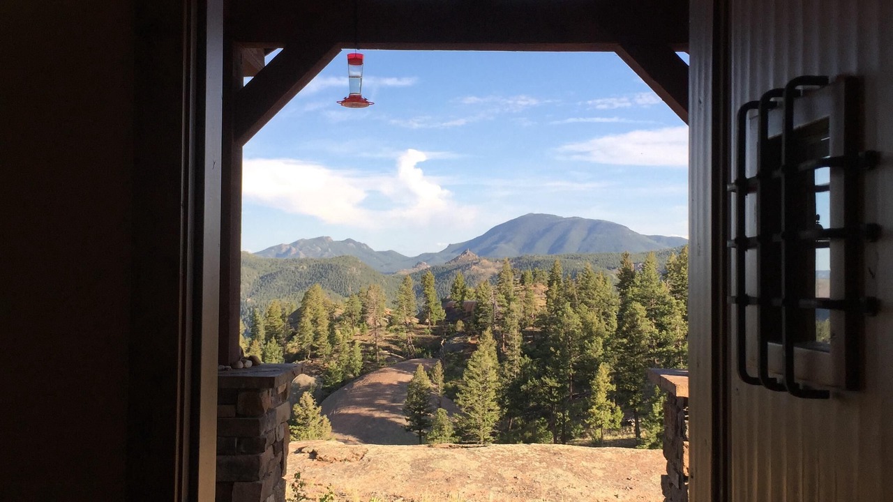 Photo of Others in Pine