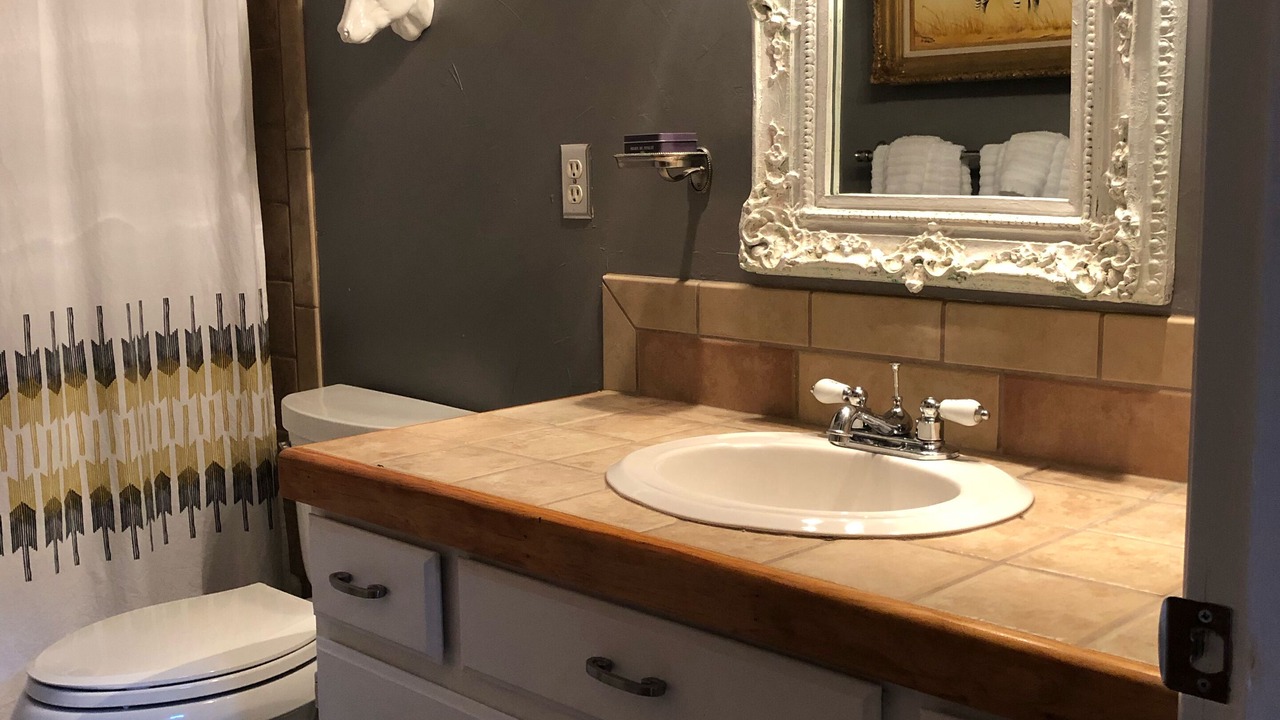 Photo of Bathroom in Carbondale