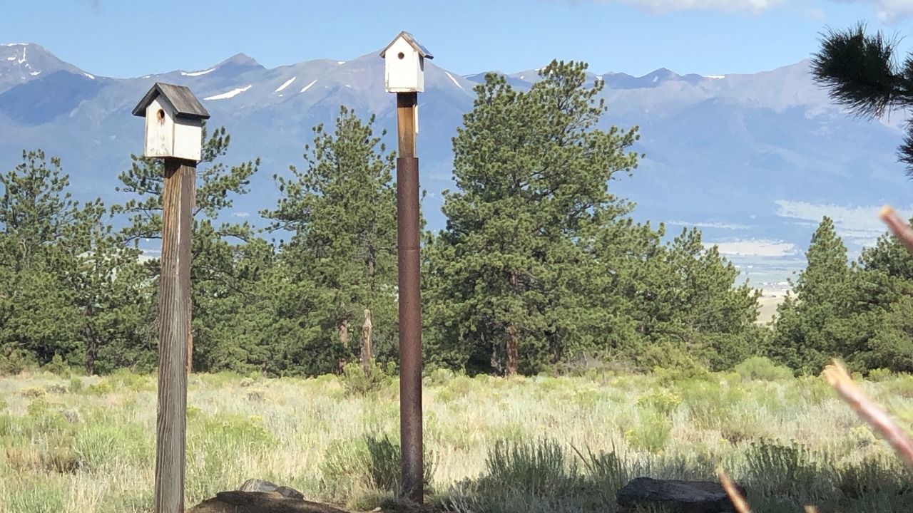 Photo of Outdoor in Westcliffe
