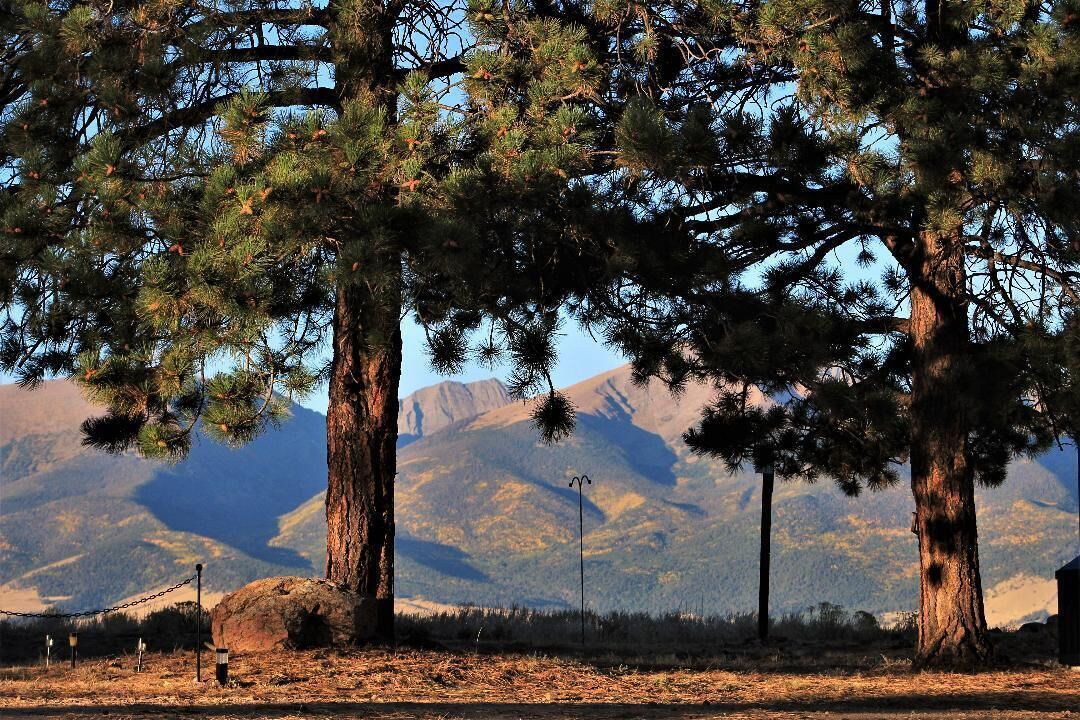 Photo of Others in Westcliffe