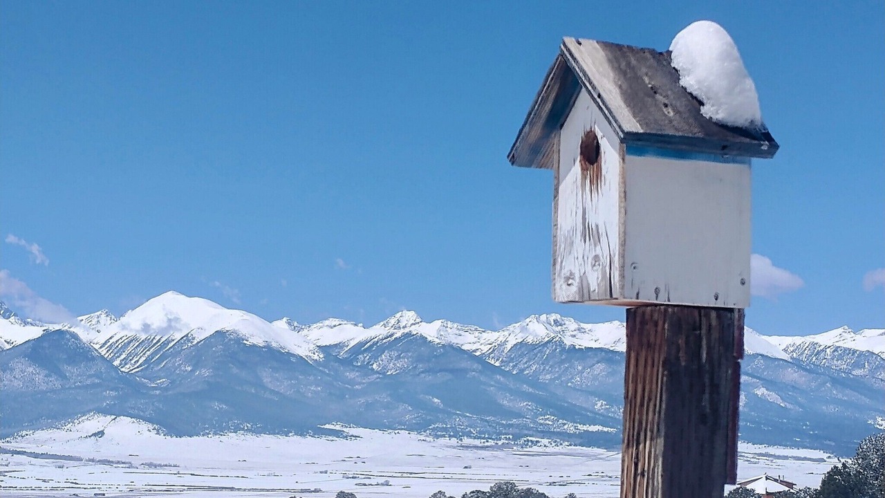 Photo of Others in Westcliffe