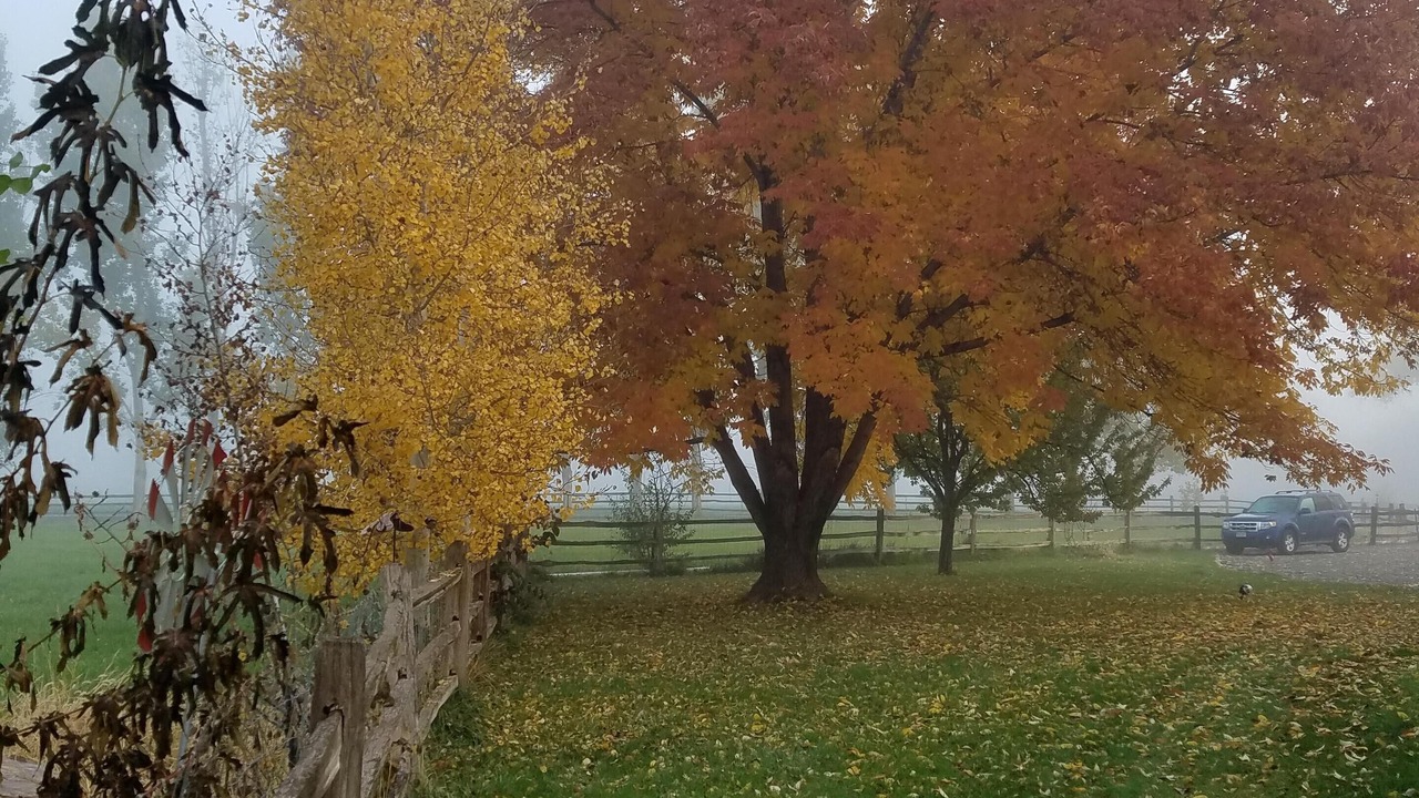 Photo of Outdoor in Grand Junction
