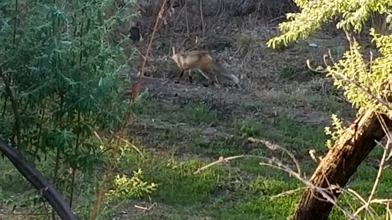 Photo of Outdoor in Grand Junction