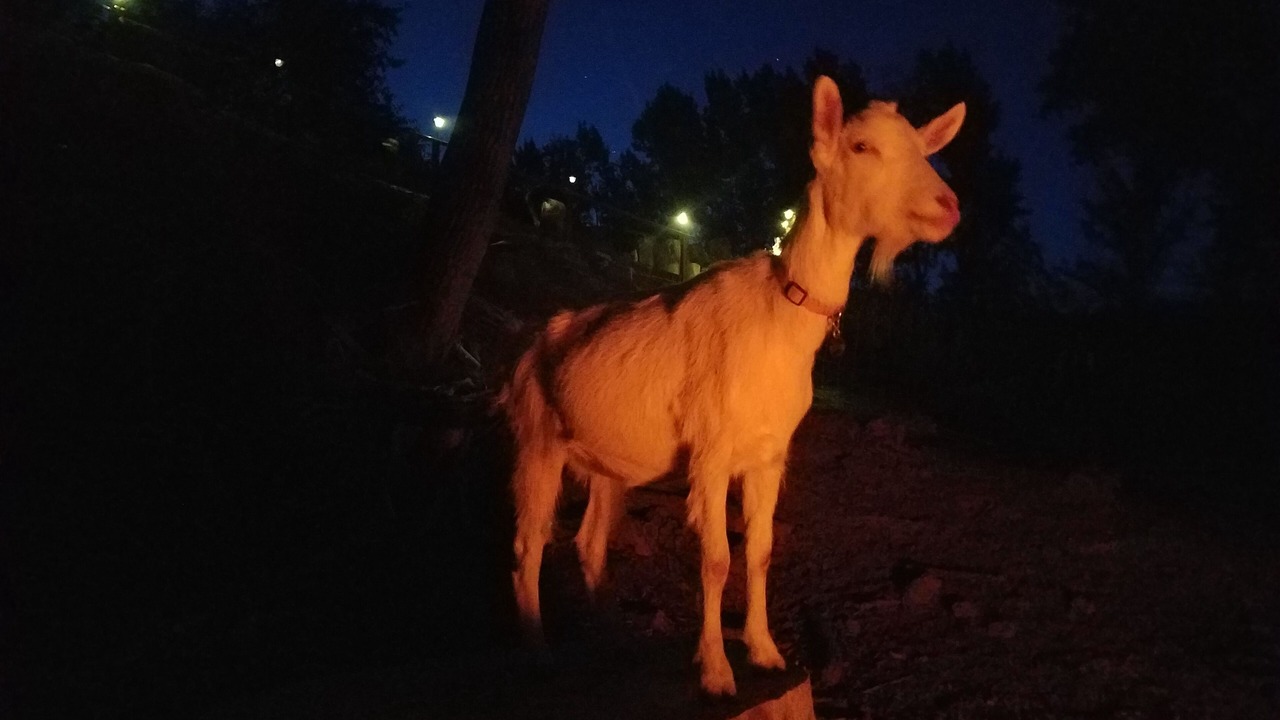 Photo of Others in Grand Junction