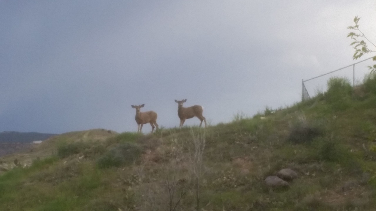 Photo of Others in Grand Junction
