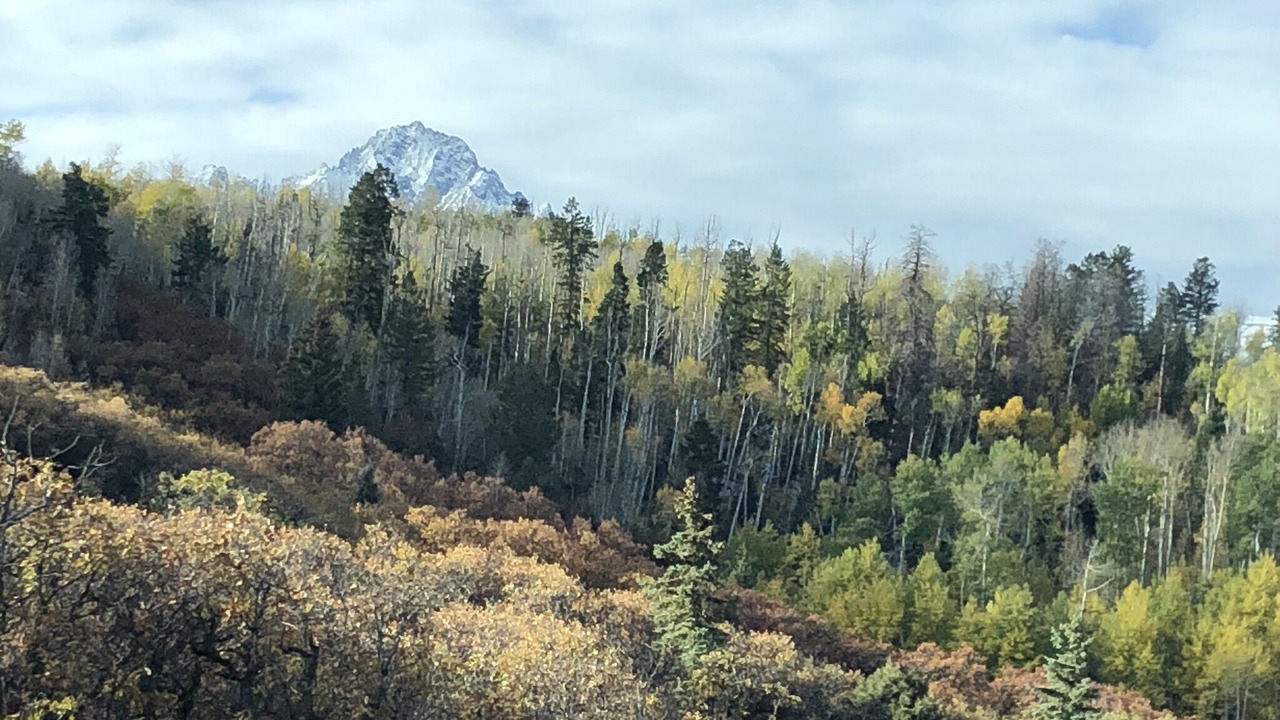 Photo of Others in Elk Meadows
