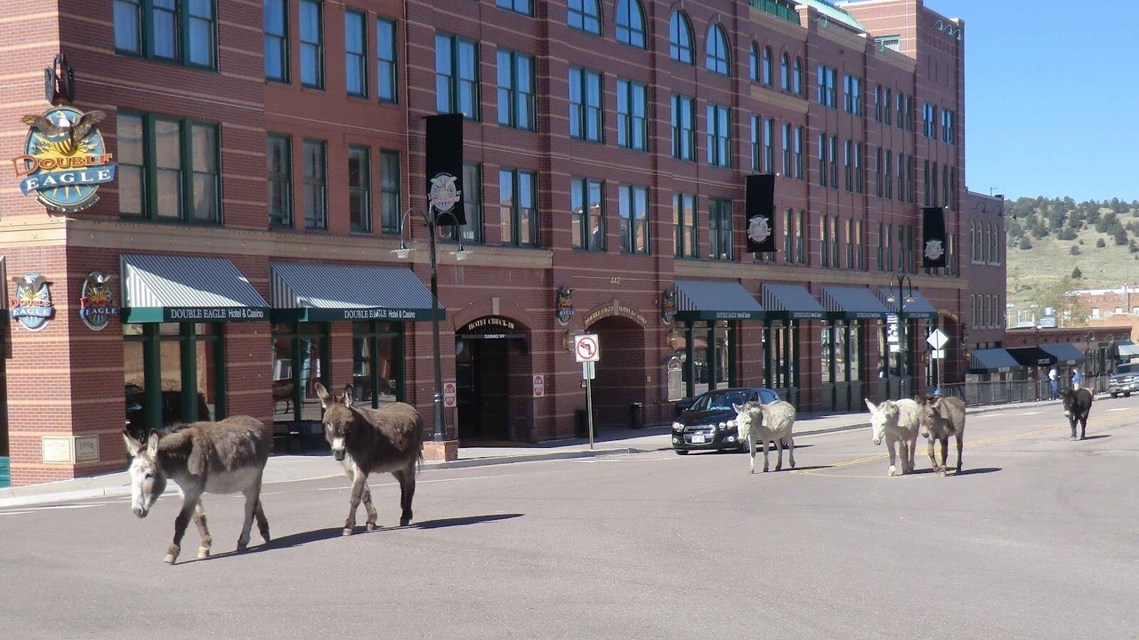 Photo of Others in Cripple Creek