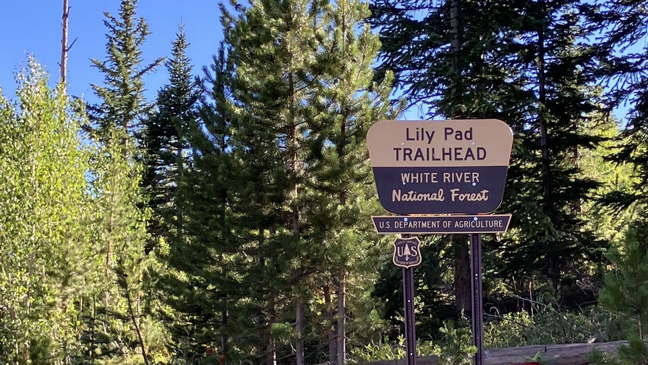 Photo of Outdoor in Wildernest