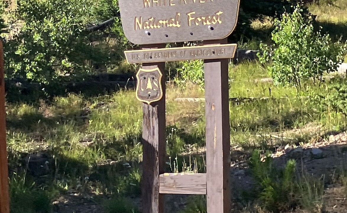 Photo of Outdoor in Wildernest