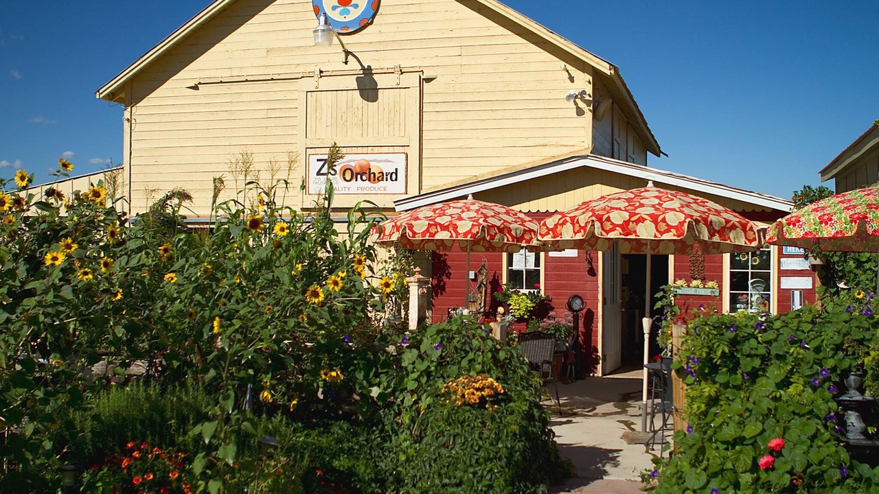 Photo of Outdoor in Palisade