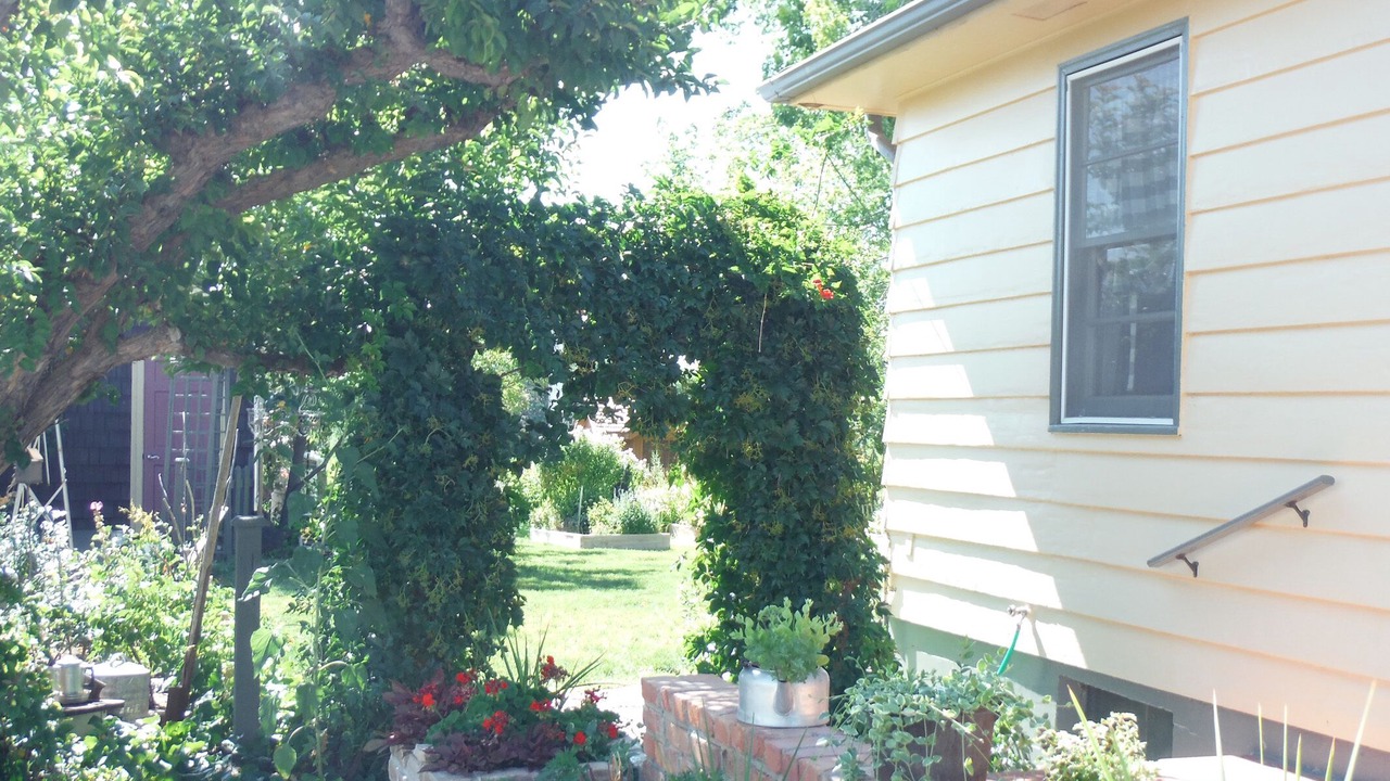 Photo of Outdoor in Palisade