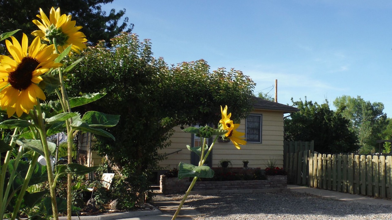 Photo of Outdoor in Palisade