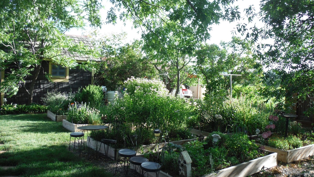 Photo of Outdoor in Palisade