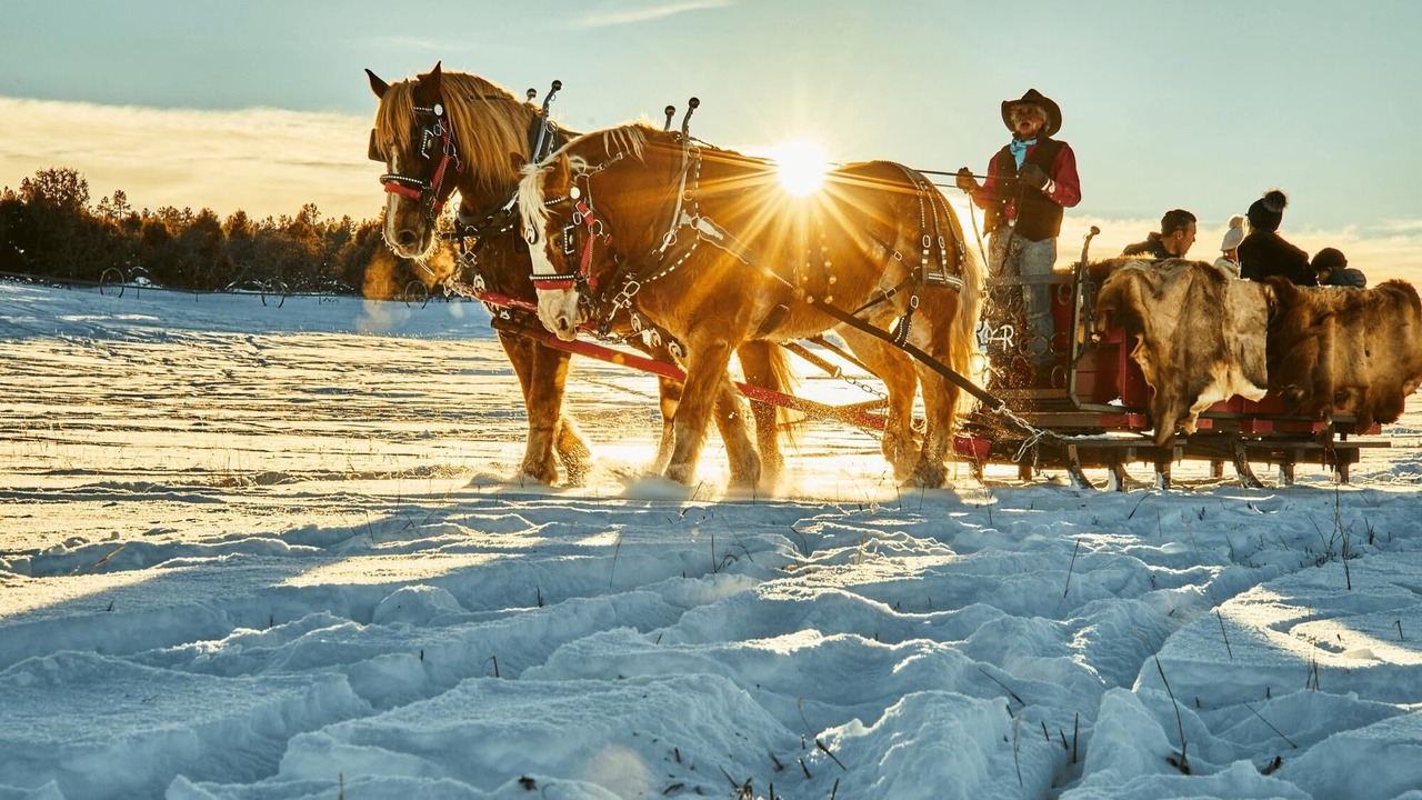 Photo of Others in Mountain Village
