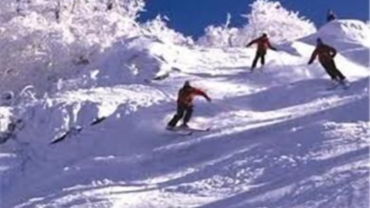 Photo of Others in Aspen