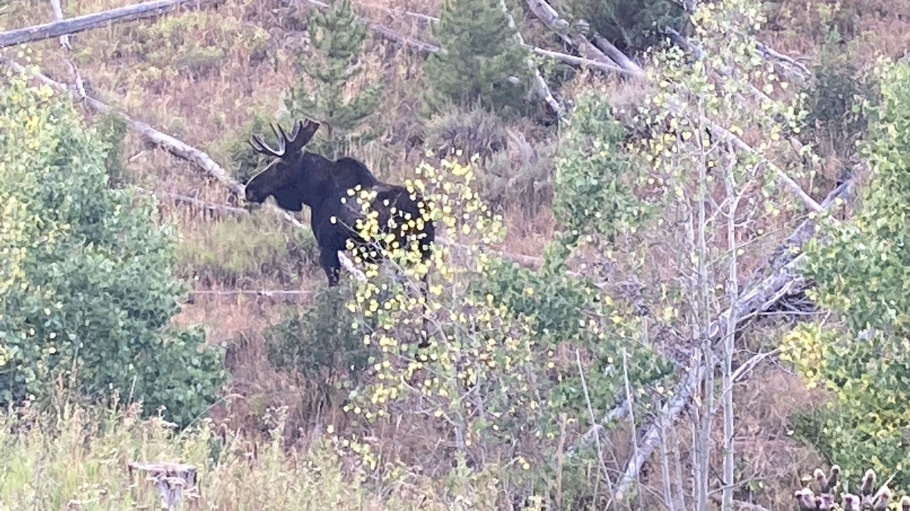 Photo of Outdoor in Parshall