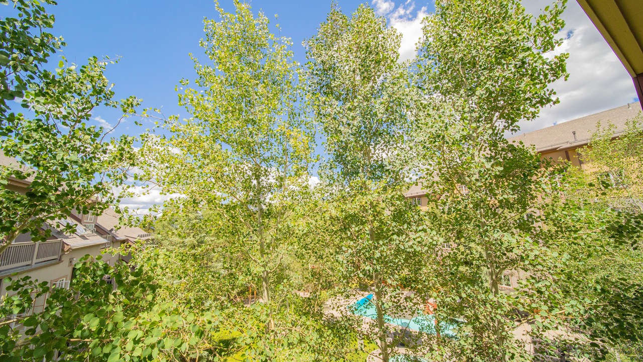 Photo of Patio Balcony in River Run
